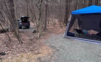 Breanne H.'s photo of a dispersed camping area at Allaben Primitive Campsites near Saugerties, NY