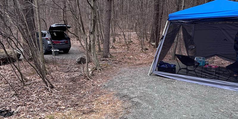 Camper submitted image from Allaben Primitive Campsites