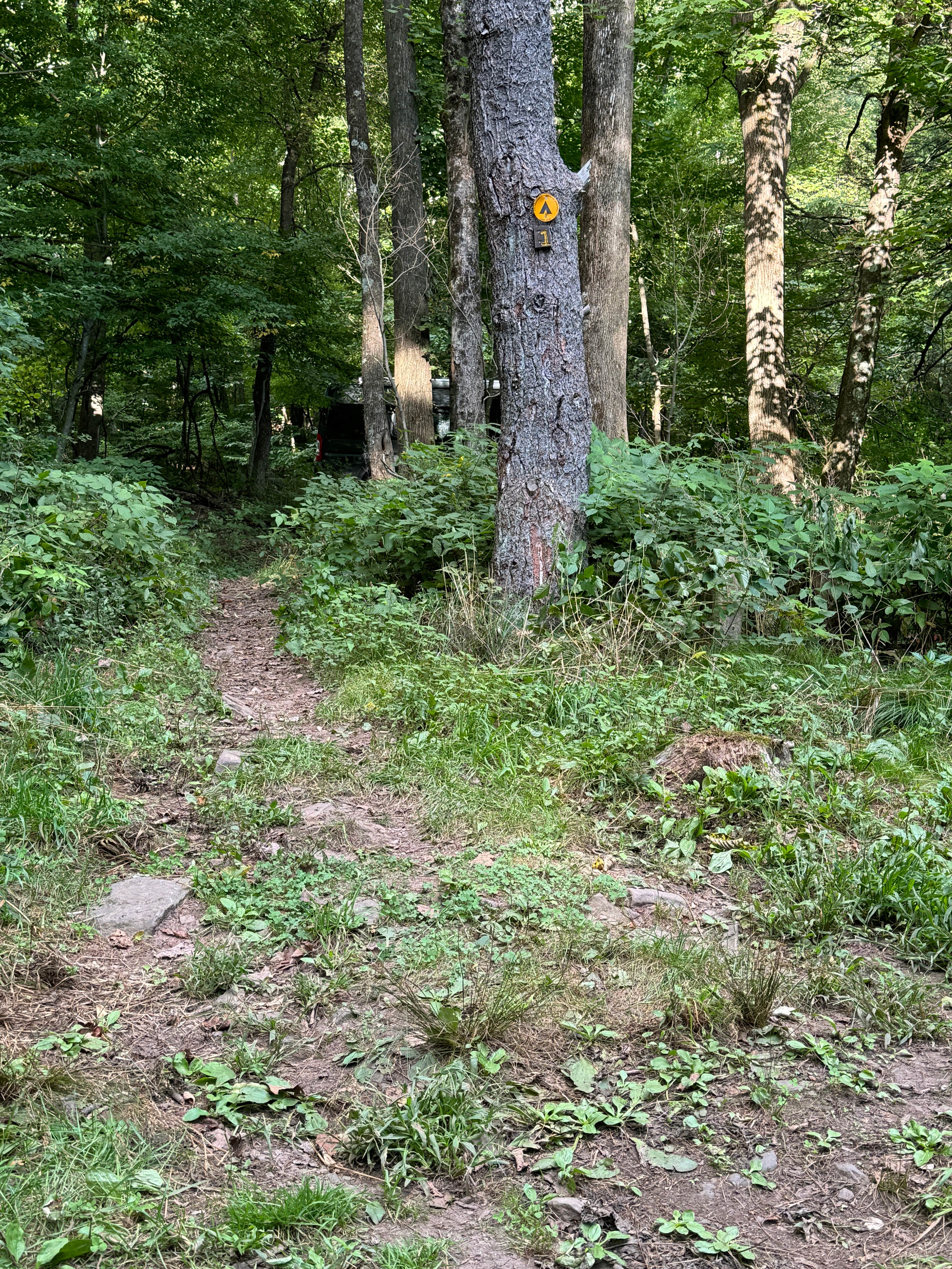 Camper-submitted photo at Allaben Campground near Shandaken, NY