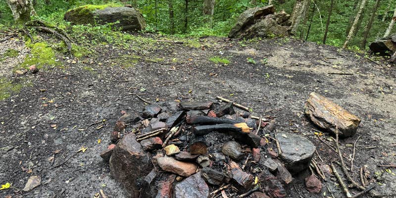 Camper submitted image from Allaben Campground