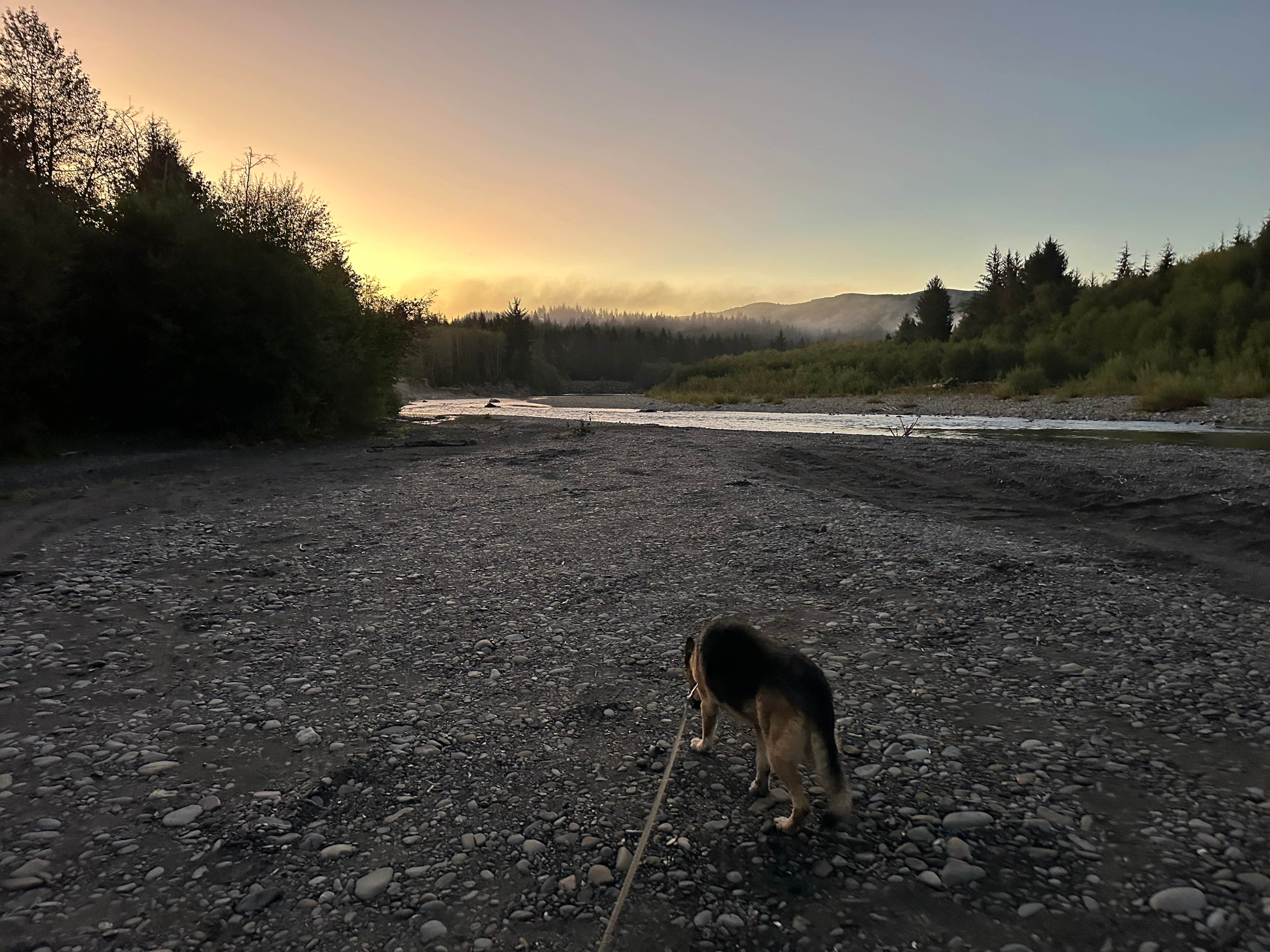James B.'s photo of camping with pets at Allens Bar Campground near Forks, WA