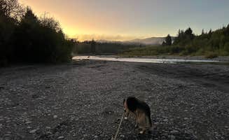 James B.'s photo of camping with pets at Allens Bar Campground near La Push, WA