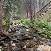 Review photo of Allenspark Dispersed Camping by Liv H., August 22, 2026