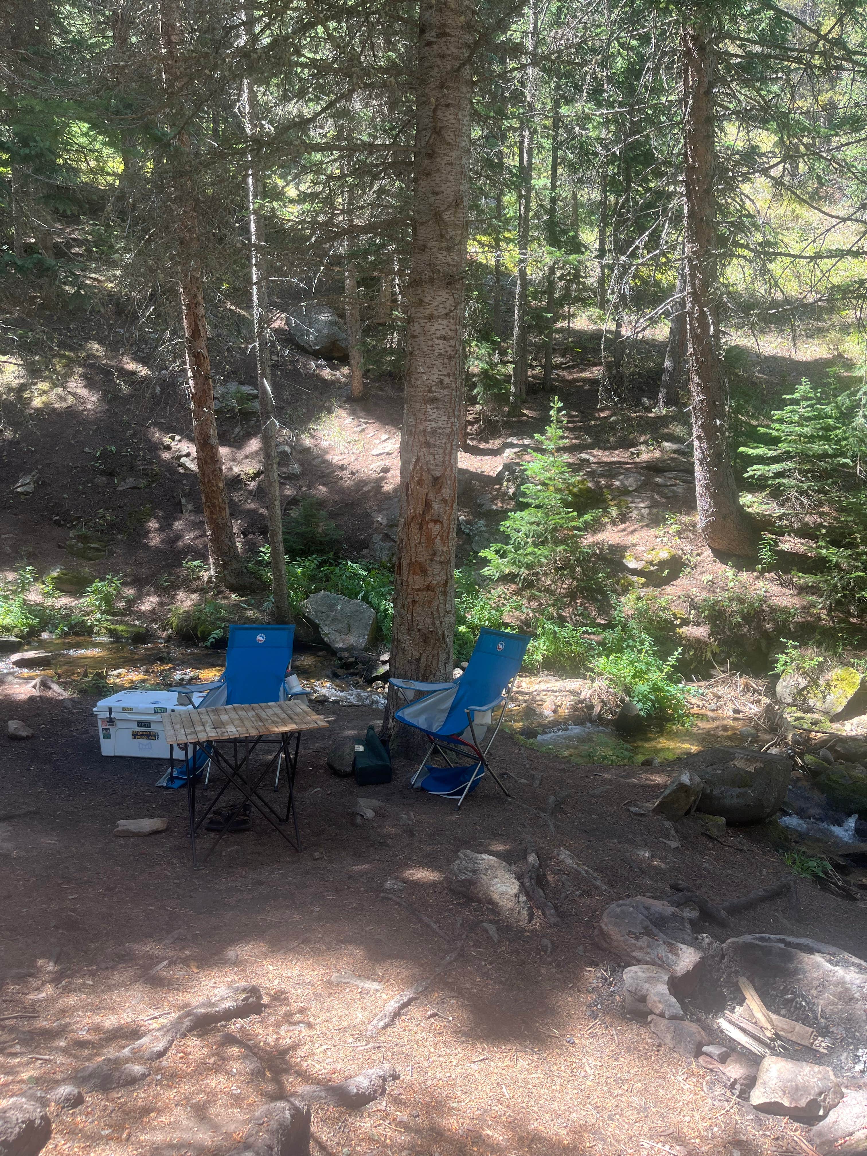 Michael H.'s photo of tent camping at Allenspark Dispersed Camping near Denver, CO