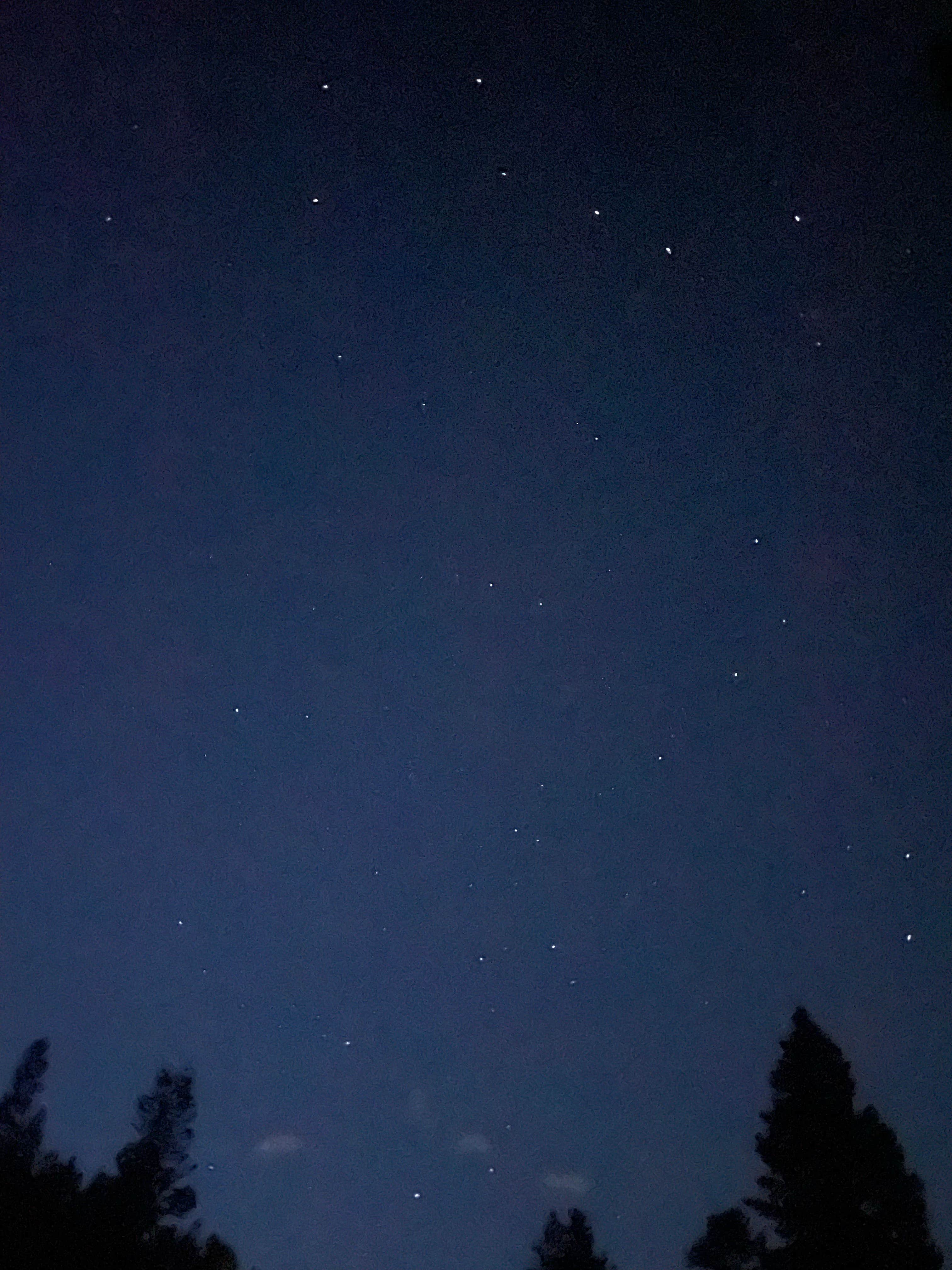 Ben D.'s photo of a dispersed camping area at Allenspark Dispersed Camping near Lyons, CO