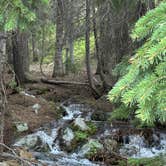 Review photo of Allenspark Dispersed Camping by D C., June 27, 2026