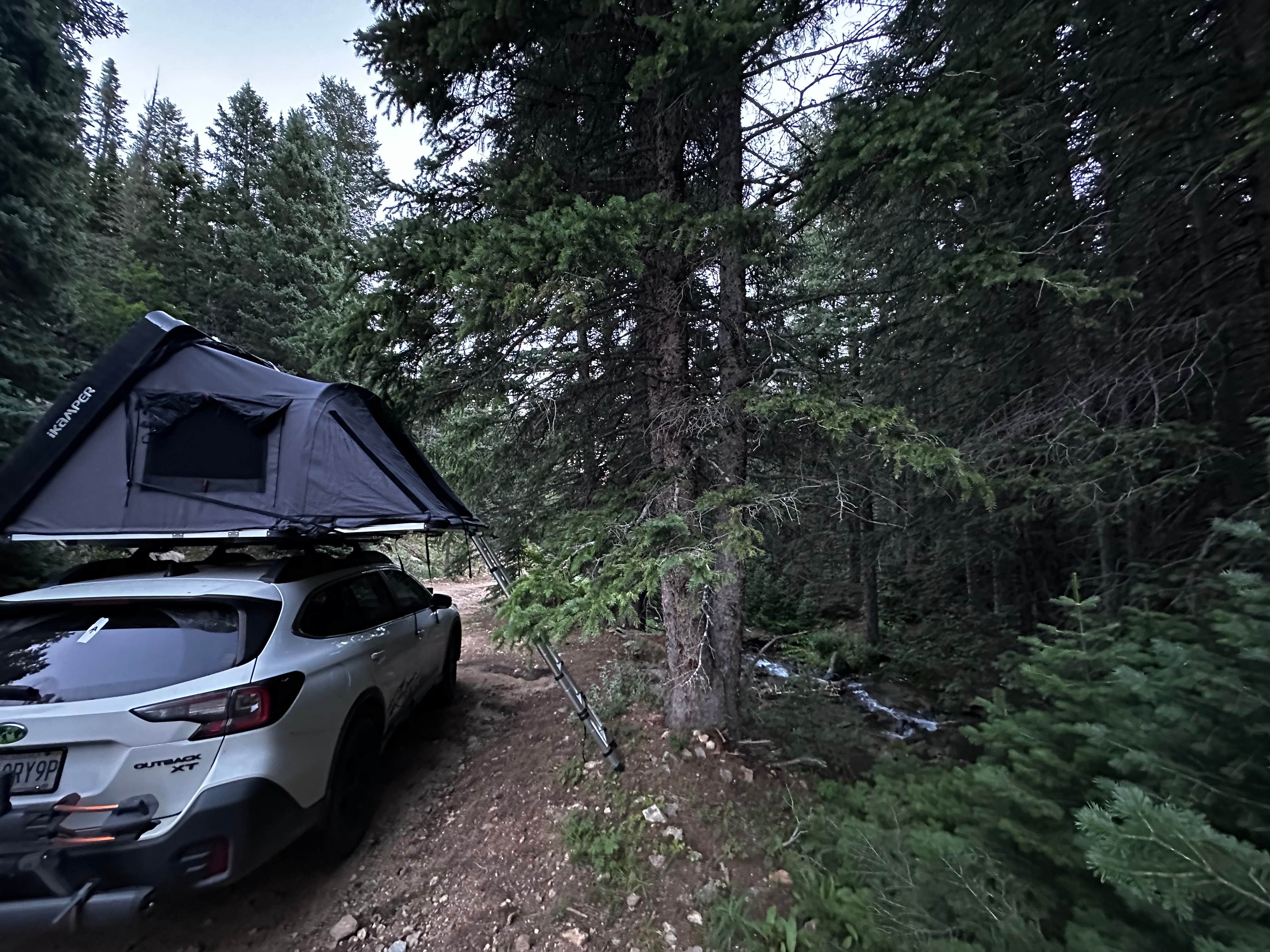 Camper-submitted photo at Allenspark Dispersed Camping near Boulder, CO