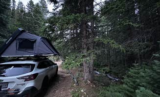 Vinny D.'s photo of a dispersed camping area at Allenspark Dispersed Camping near Estes Park, CO