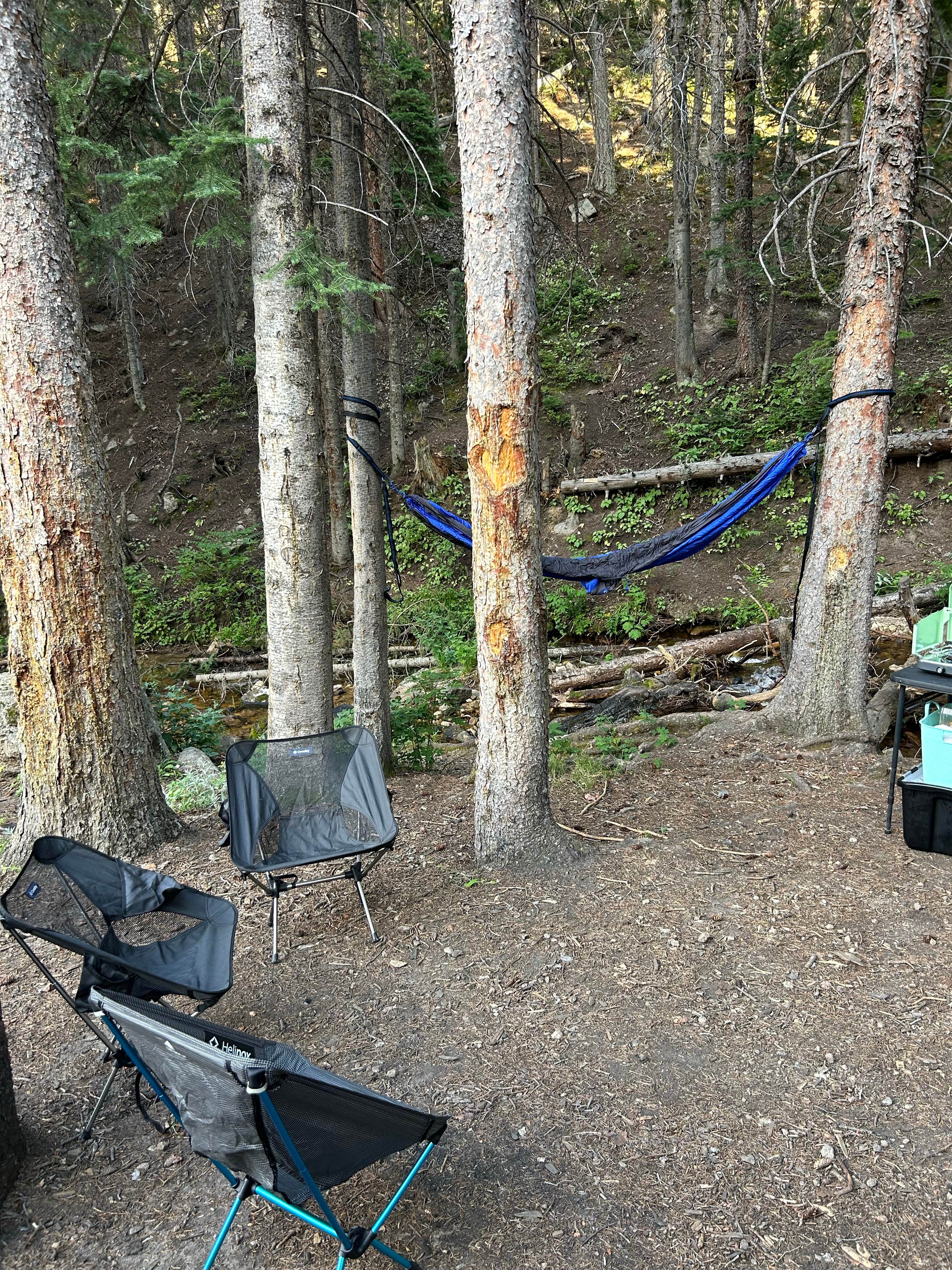 Allenspark Dispersed Camping