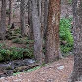 Review photo of Allenspark Dispersed Camping by Brett A., August 10, 2025