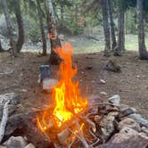 Review photo of Allenspark Dispersed Camping by Ben D., May 14, 2025