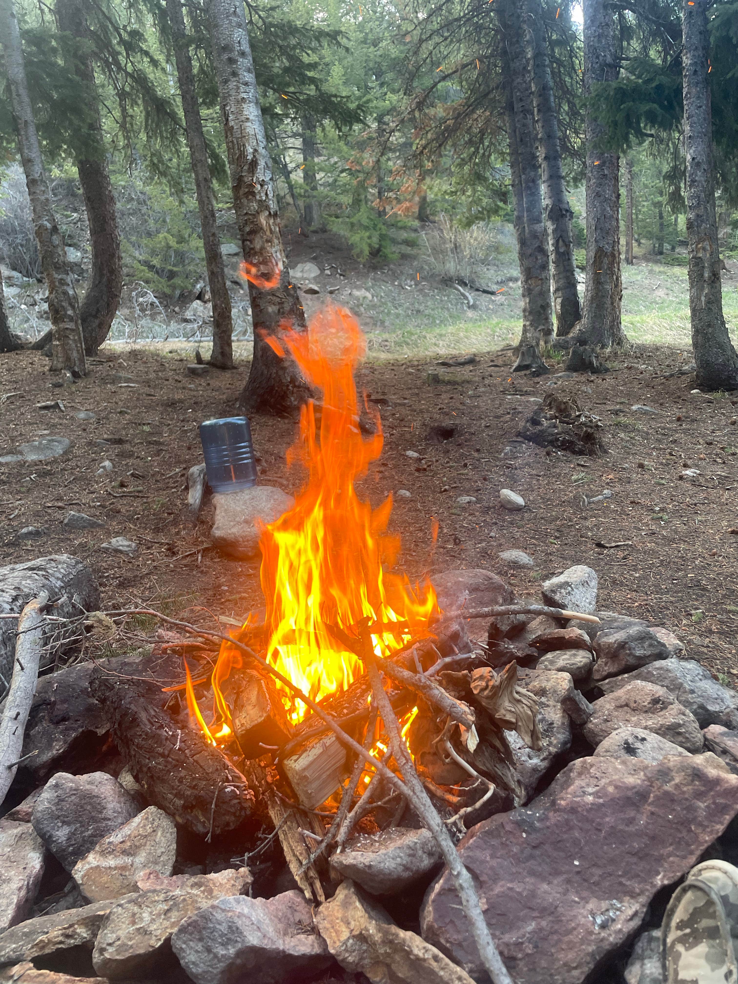 Camper submitted image from Allenspark Dispersed Camping - 1