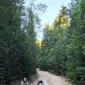 Review photo of Allenspark Dispersed Camping by Michael K., July 28, 2026