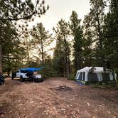 Review photo of Allenspark Dispersed Camping by Lindsey H., August 12, 2024