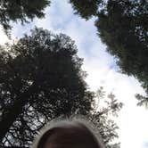 Review photo of Allenspark Dispersed Camping by Michael K., July 28, 2026