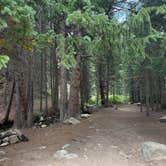 Review photo of Allenspark Dispersed Camping by Liv H., August 22, 2026