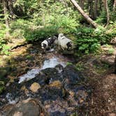 Review photo of Allenspark Dispersed Camping by Michael K., July 28, 2026