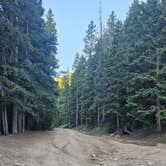 Review photo of Allenspark Dispersed Camping by johny P., June 21, 2025