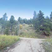 Review photo of Allenspark Dispersed Camp Spot by Vinny D., October 3, 2025