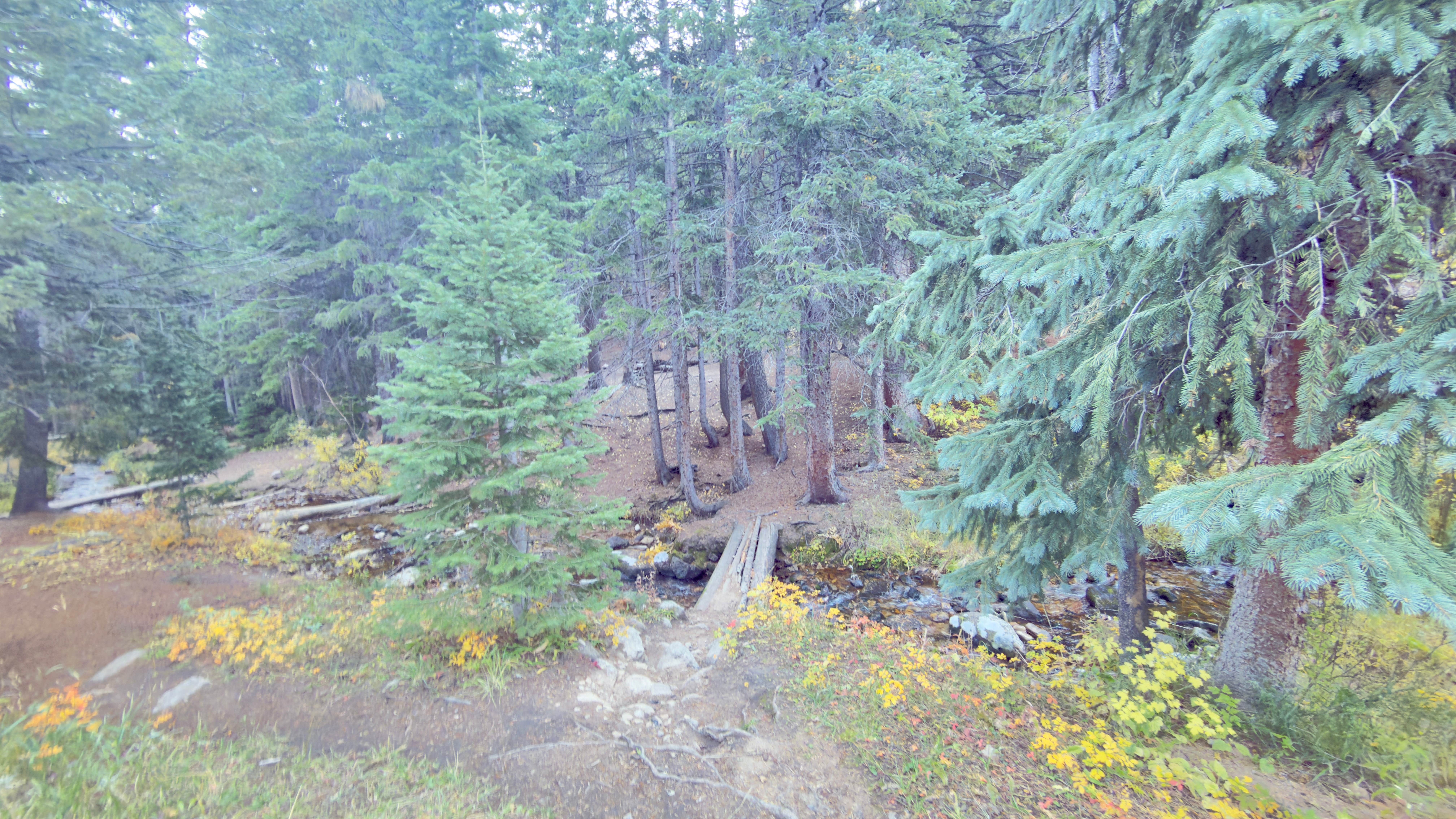 Camper-submitted photo at Allenspark Dispersed Camp Spot near Boulder, CO