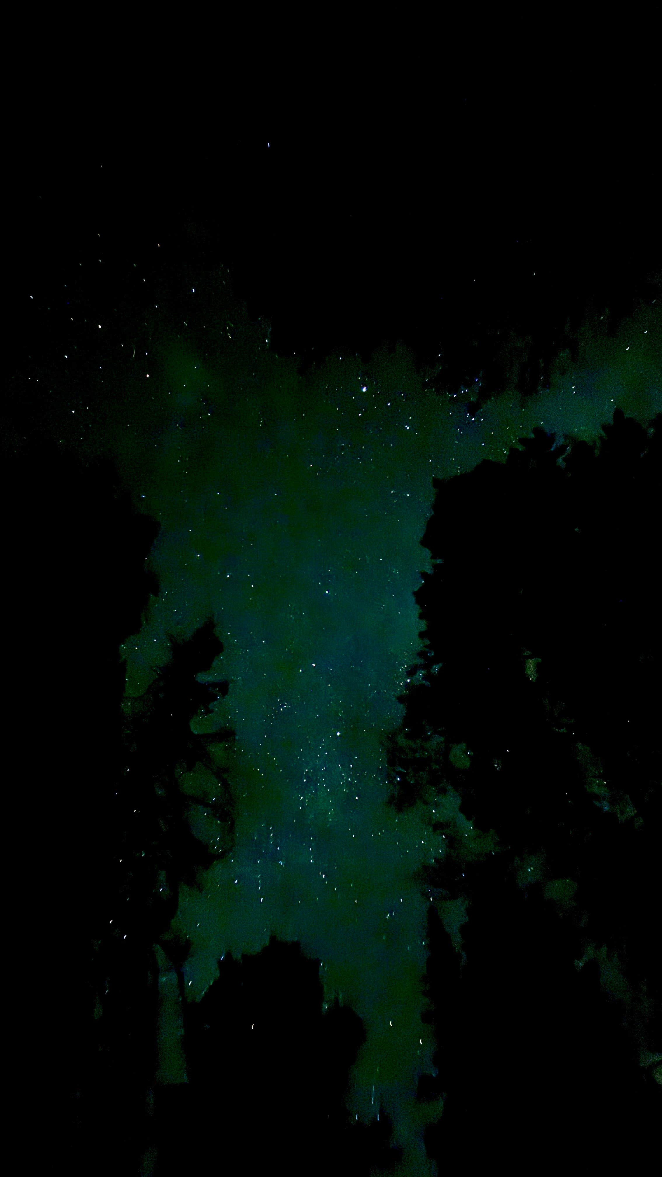 Marcos D. R.'s photo of a dispersed camping area at Allenspark Dispersed Camp Spot near Berthoud, CO