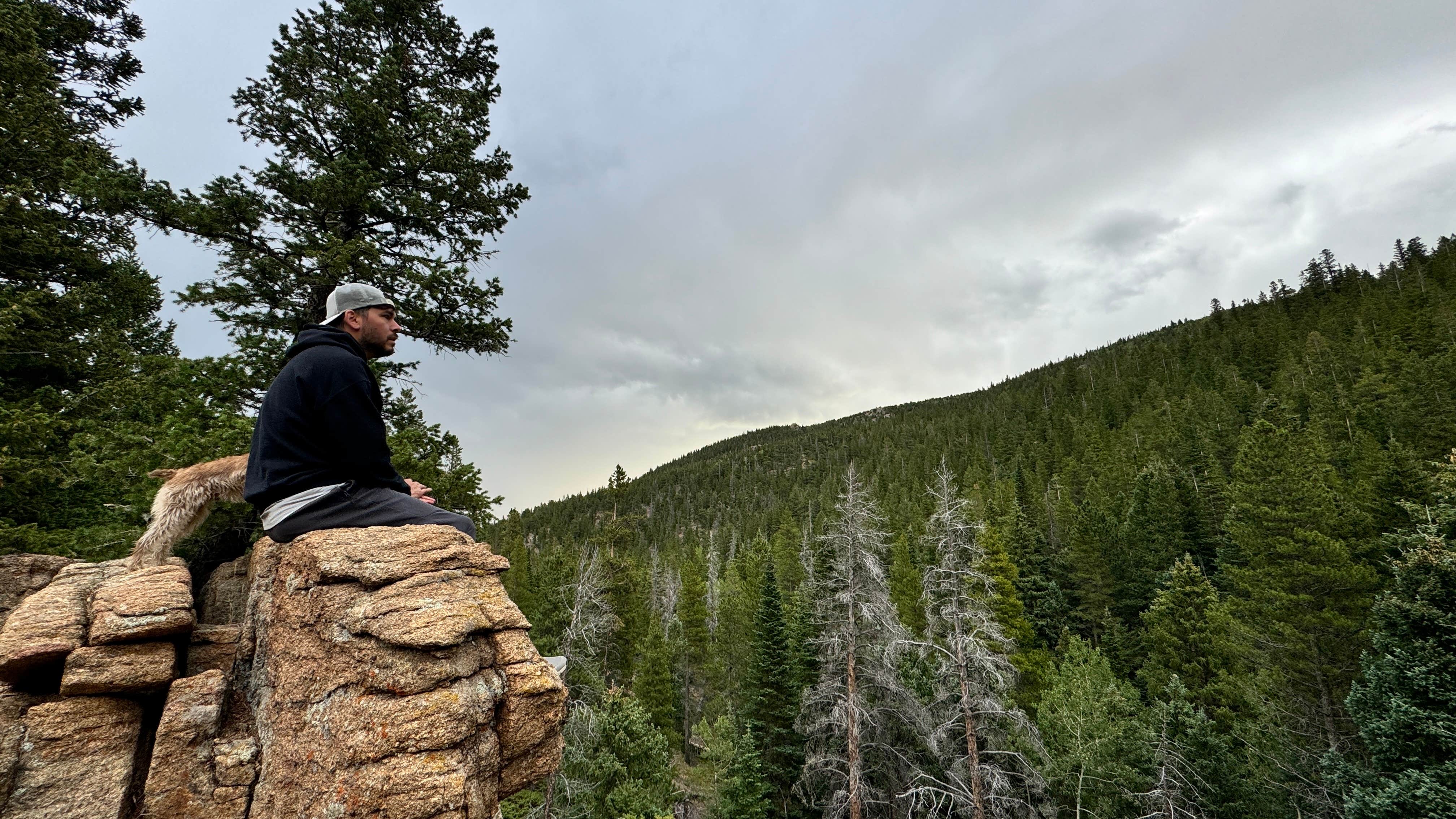 Marcos D. R.'s photo of camping with pets at Allenspark Dispersed Camp Spot near Longmont, CO