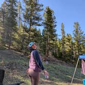 Review photo of Allenspark Dispersed Camp Spot by Taylor C., May 28, 2025