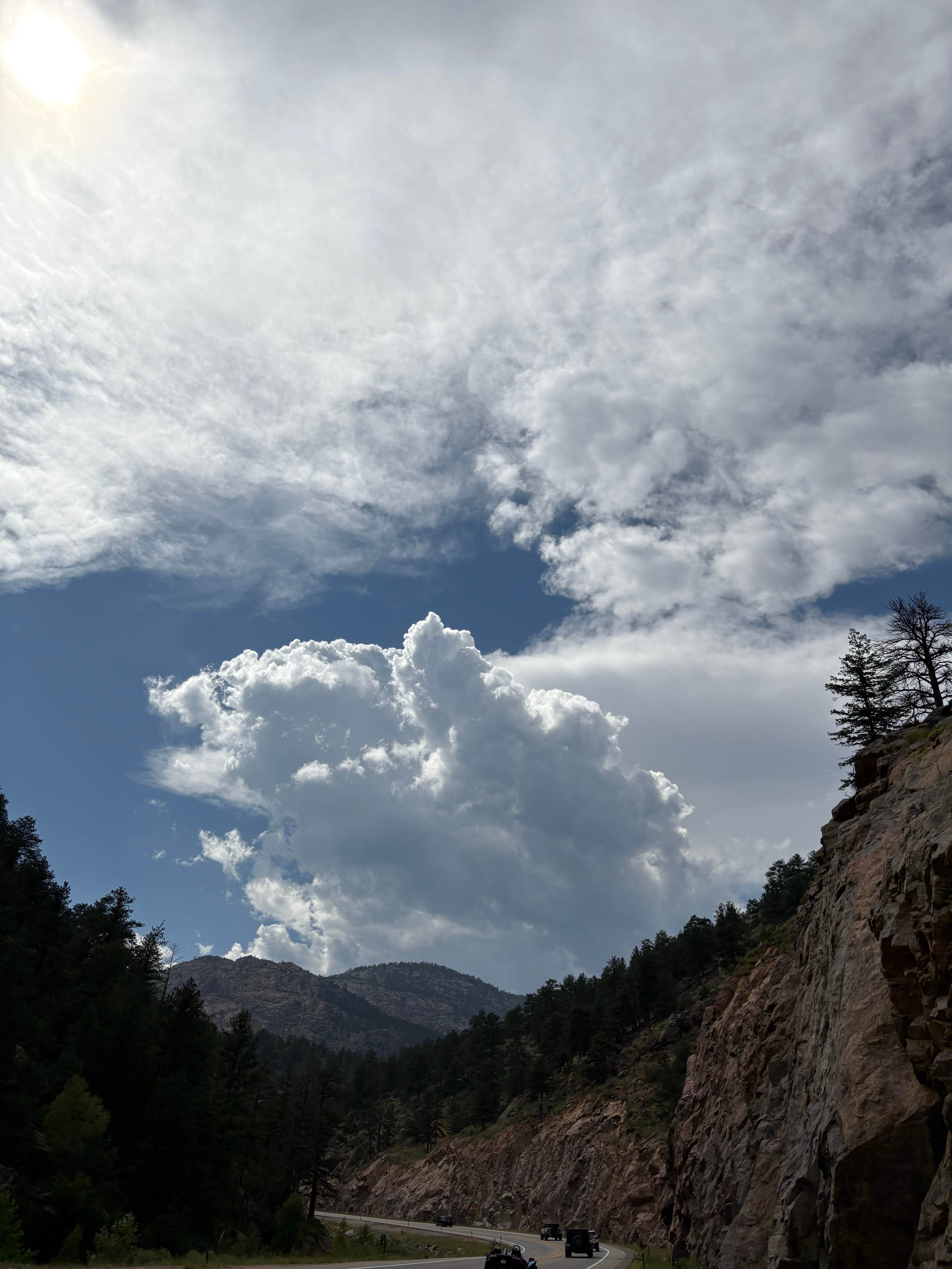 Alli L.'s photo of a dispersed camping area at Allenspark Dispersed Camp Spot near Ault, CO