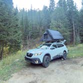 Review photo of Allenspark Dispersed Camp Spot by Vinny D., October 3, 2025