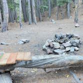 Review photo of Allenspark Dispersed Camp Spot by Vinny D., October 3, 2025