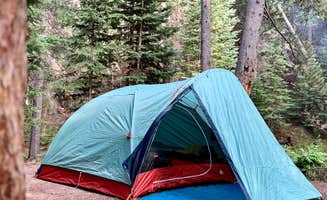 Marcos D. R.'s photo of tent camping at Allenspark Dispersed Camp Spot near Fort Collins, CO