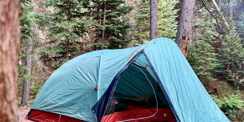 Camper submitted image from Allenspark Dispersed Camp Spot