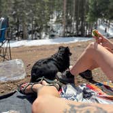 Review photo of Allenspark Dispersed Camp Spot by Taylor C., May 28, 2025