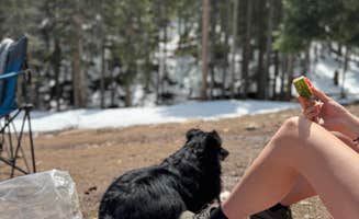 Taylor C.'s photo of camping with pets at Allenspark Dispersed Camp Spot near Hygiene, CO