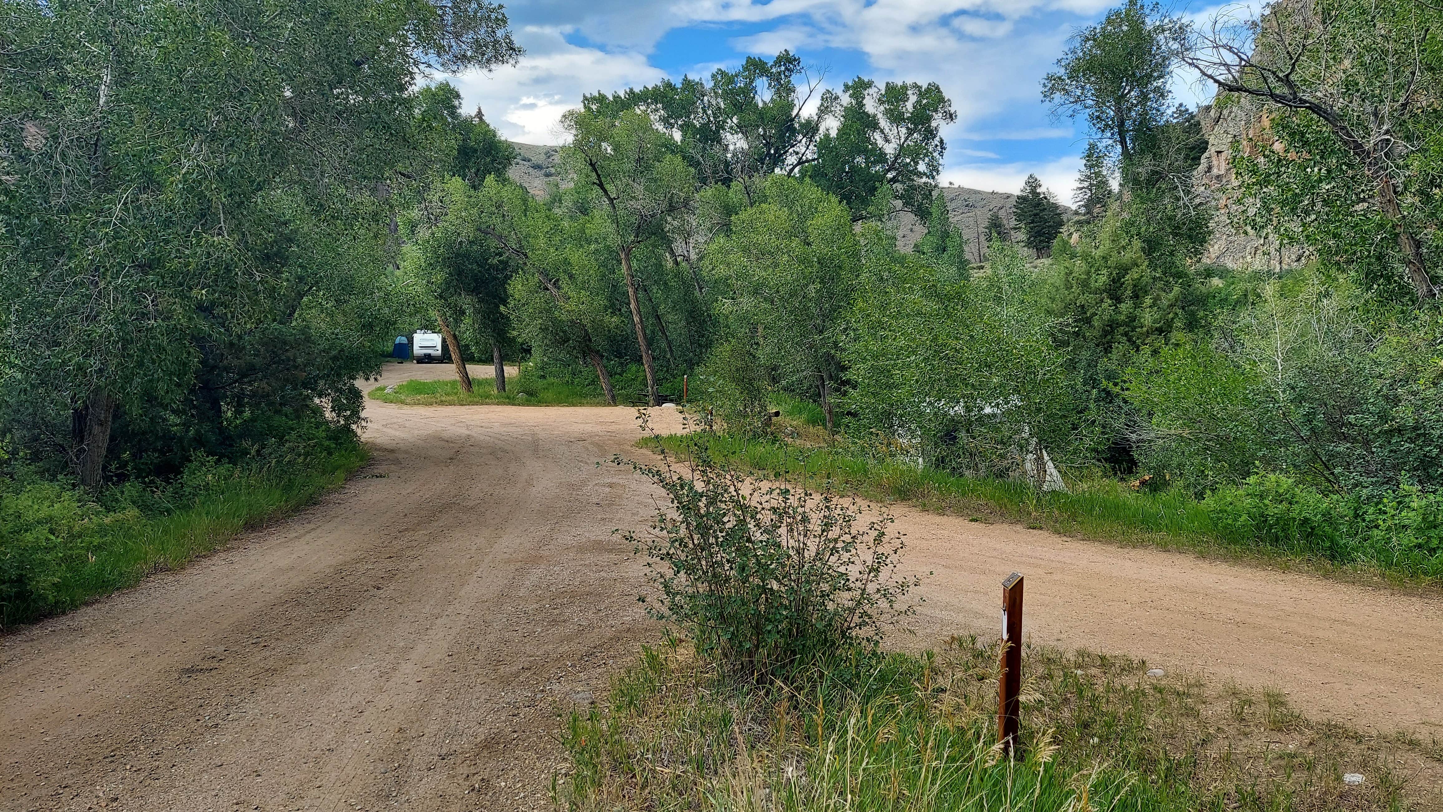Camper-submitted photo at Almont Campground near Almont, CO