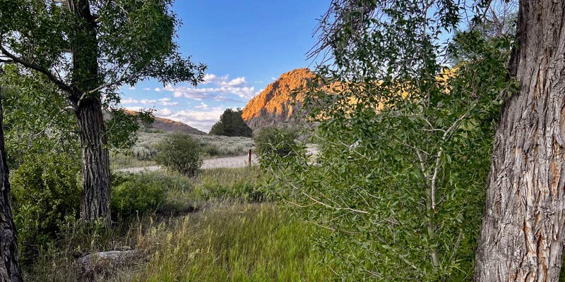 Camper submitted image from Almont Campground