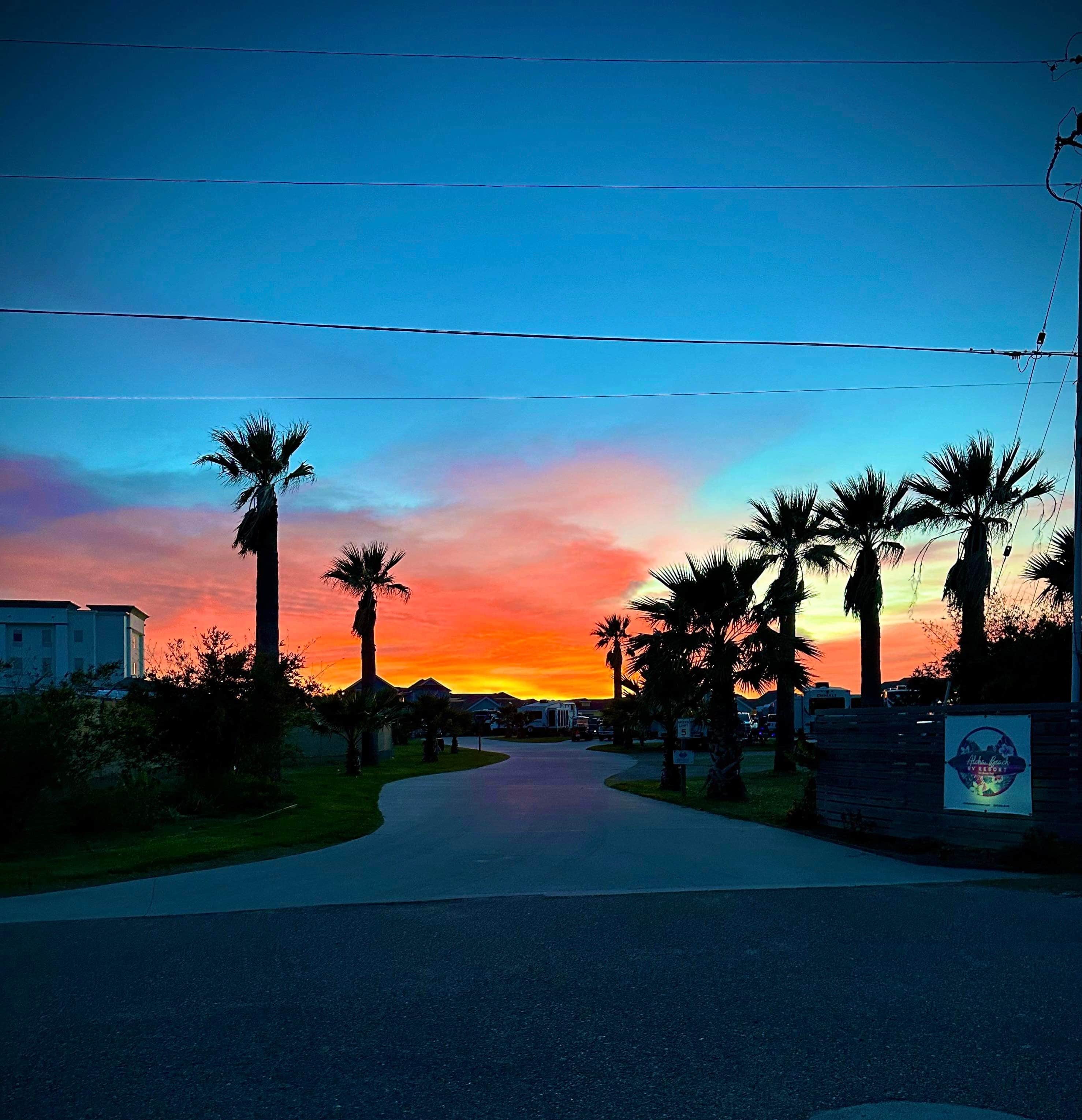 Camper submitted image from Aloha Beach RV Resort - 1