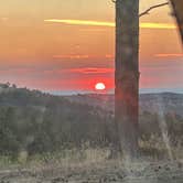 Review photo of Along Mt Roosevelt Rd Dispersed Camp by Betsy W., August 27, 2026