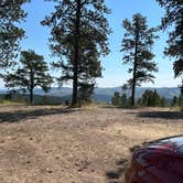 Review photo of Along Mt Roosevelt Rd Dispersed Camp by Betsy W., August 27, 2026