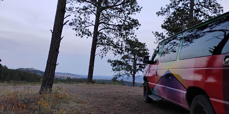 Camper submitted image from Along Mt Roosevelt Rd Dispersed Camp