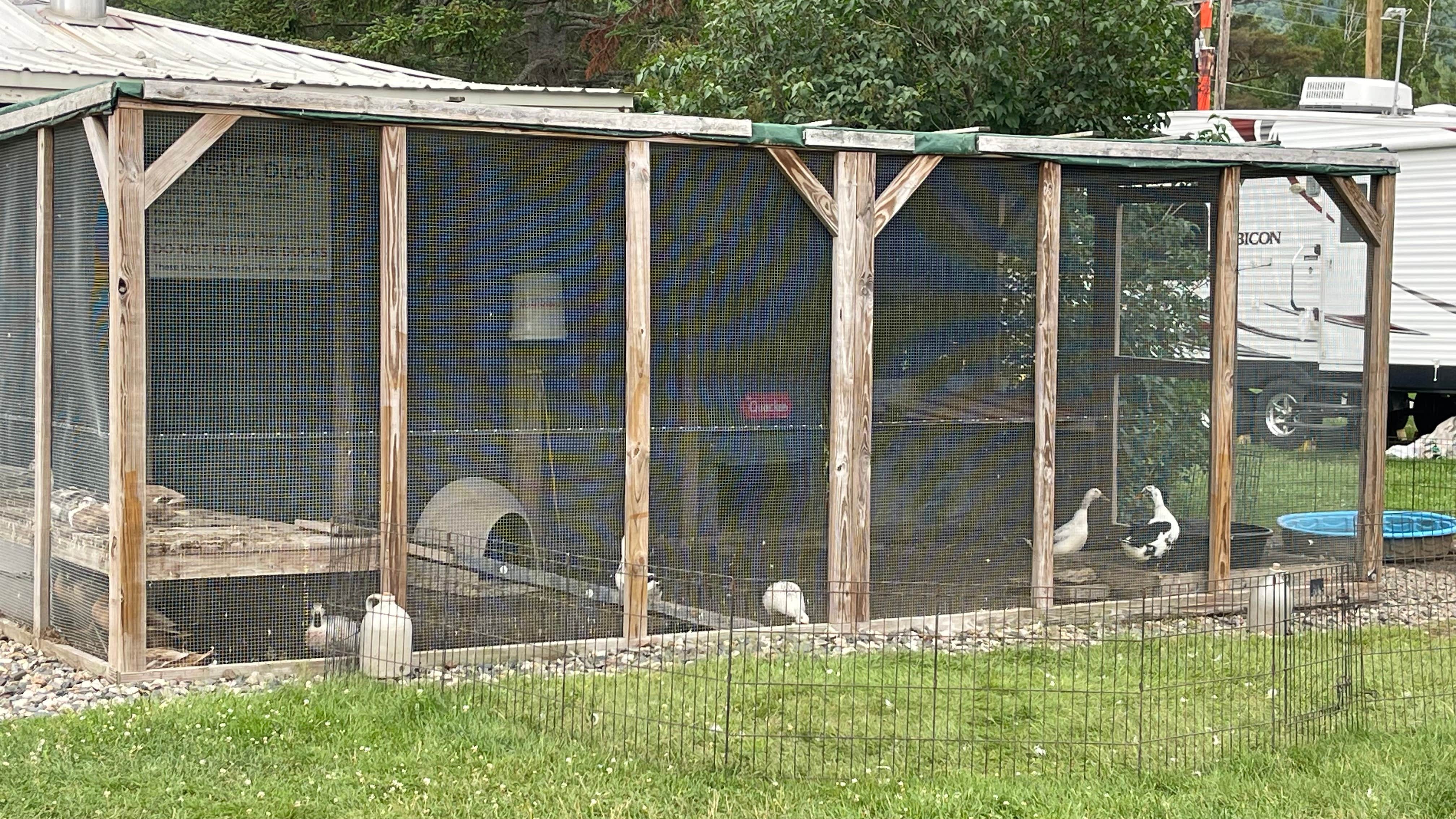 Camper-submitted photo at Along the River Campground near Twin Mountain, NH