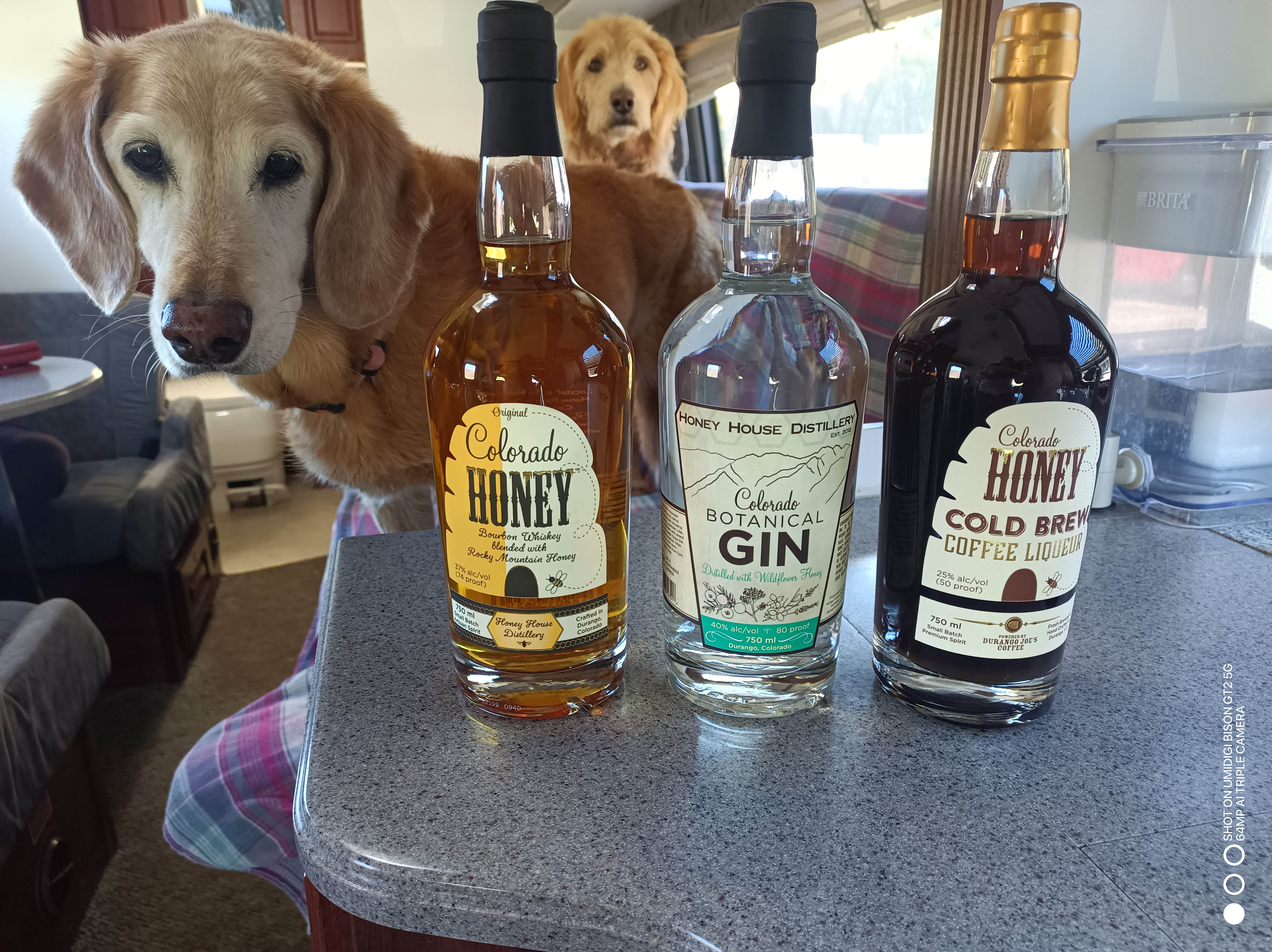 Nathan B.'s photo of camping with pets at Alpen Rose RV Park near San Juan National Forest