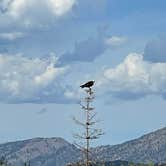 Review photo of Alpine / Bridger-Teton National Forest KOA by Randy L., August 30, 2026