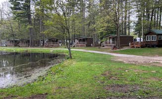 The L.'s photo of a cabin at Alpine Lake RV Resort near Stony Creek, NY
