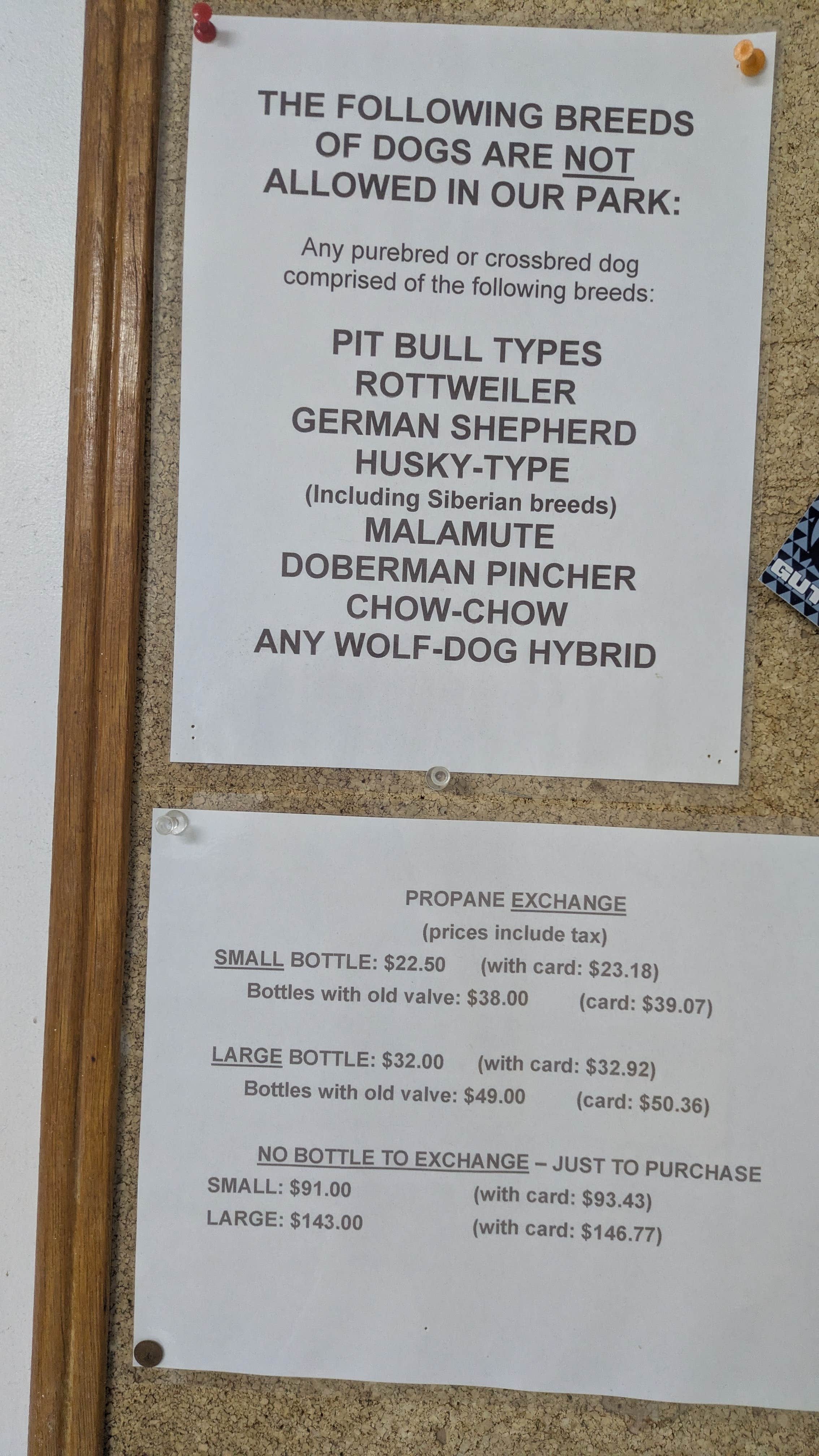 Camper-submitted photo at Alpine Village RV Park near Springerville, AZ