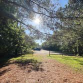 Review photo of Alston Trailhead by Rachel S., April 24, 2024