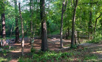 Camping near Blythewood Acres: Alston Trailhead, Chapin, South Carolina