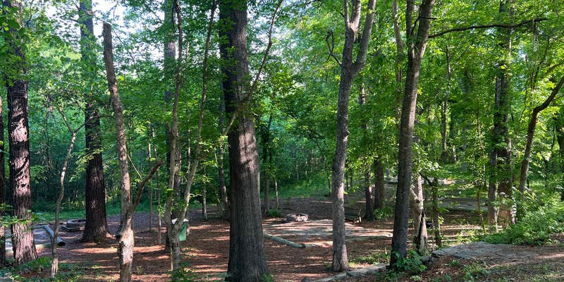 Camper submitted image from Alston Trailhead