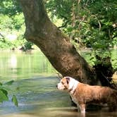Review photo of Alum Creek State Park Campground by alec E., April 3, 2026