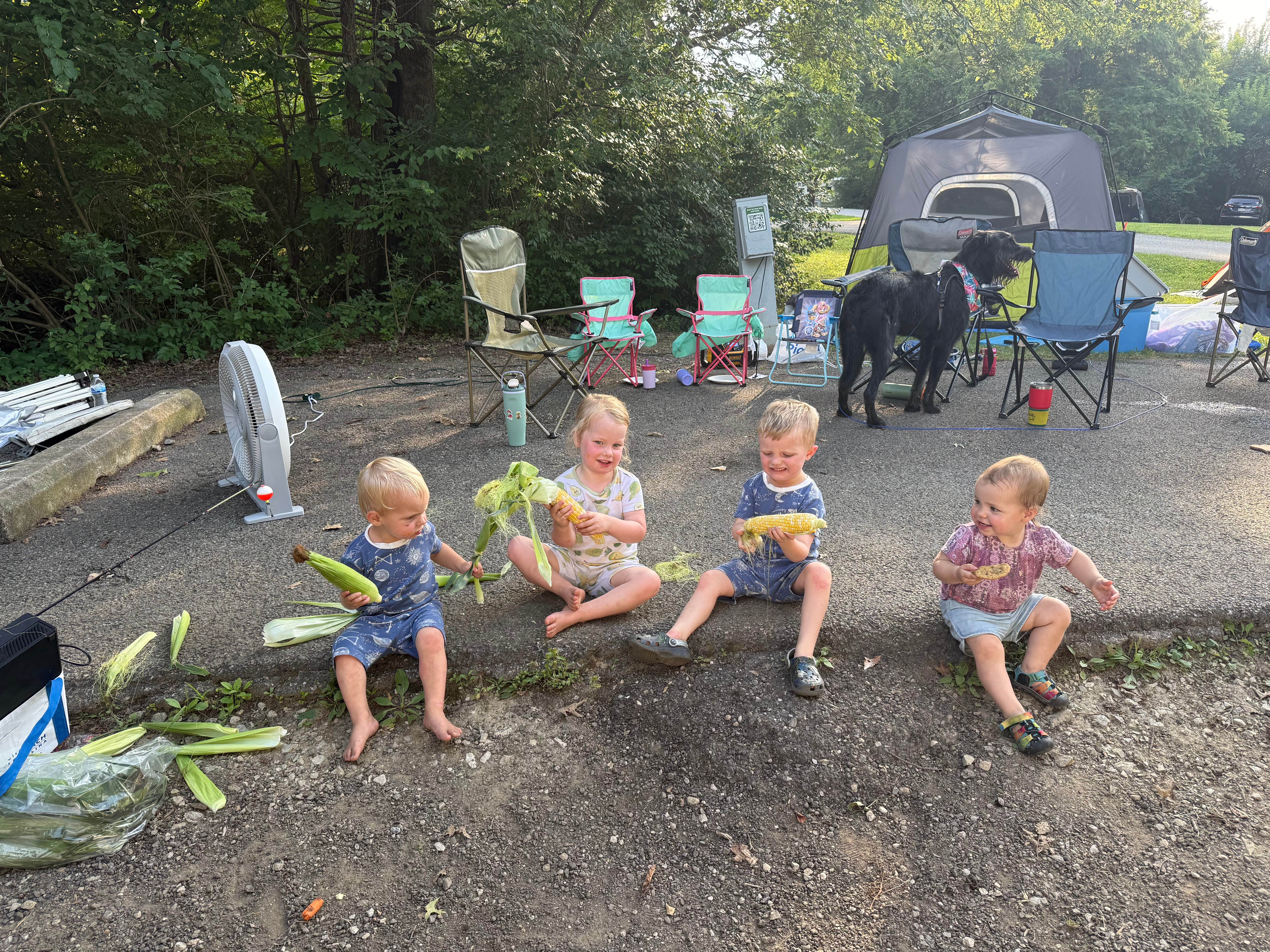 Jenny C.'s photo of camping with pets at Alum Creek State Park Campground near Galloway, OH
